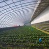 Single Slope Greenhouse