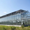 Glass Greenhouse