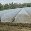 Single Span Film Greenhouse