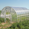 Single Span Film Greenhouse