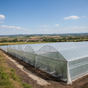 Multi-Span Plastic Greenhouse