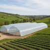 Double Layer Greenhouse