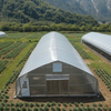 Single Span Film Greenhouse