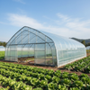Double Layer Greenhouse