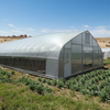 Single Span Film Greenhouse