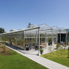 Glass Greenhouse