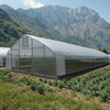 Single Span Film Greenhouse
