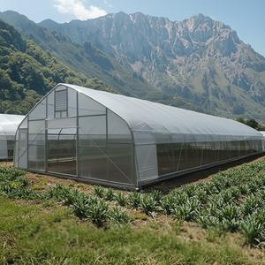 Single Span Film Greenhouse