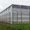Sawtooth Film Multi-Span Greenhouse