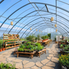 Leisure Recreationat Warm Greenhouse