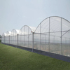 Multi-Span Plastic Greenhouse