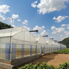 Sawtooth Film Multi-Span Greenhouse