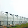 Sawtooth Film Multi-Span Greenhouse
