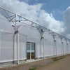 Multi-Span Plastic Greenhouse