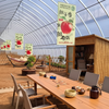 Leisure Recreationat Warm Greenhouse