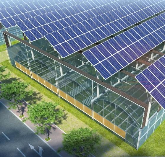 Solar greenhouse