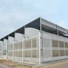 Sawtooth Film Multi-Span Greenhouse