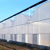 Multi-Span Plastic Greenhouse