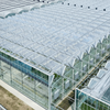 Glass Greenhouse