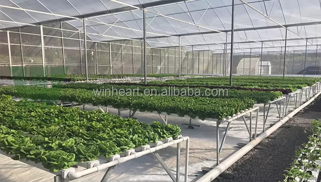 Vegetable greenhouse