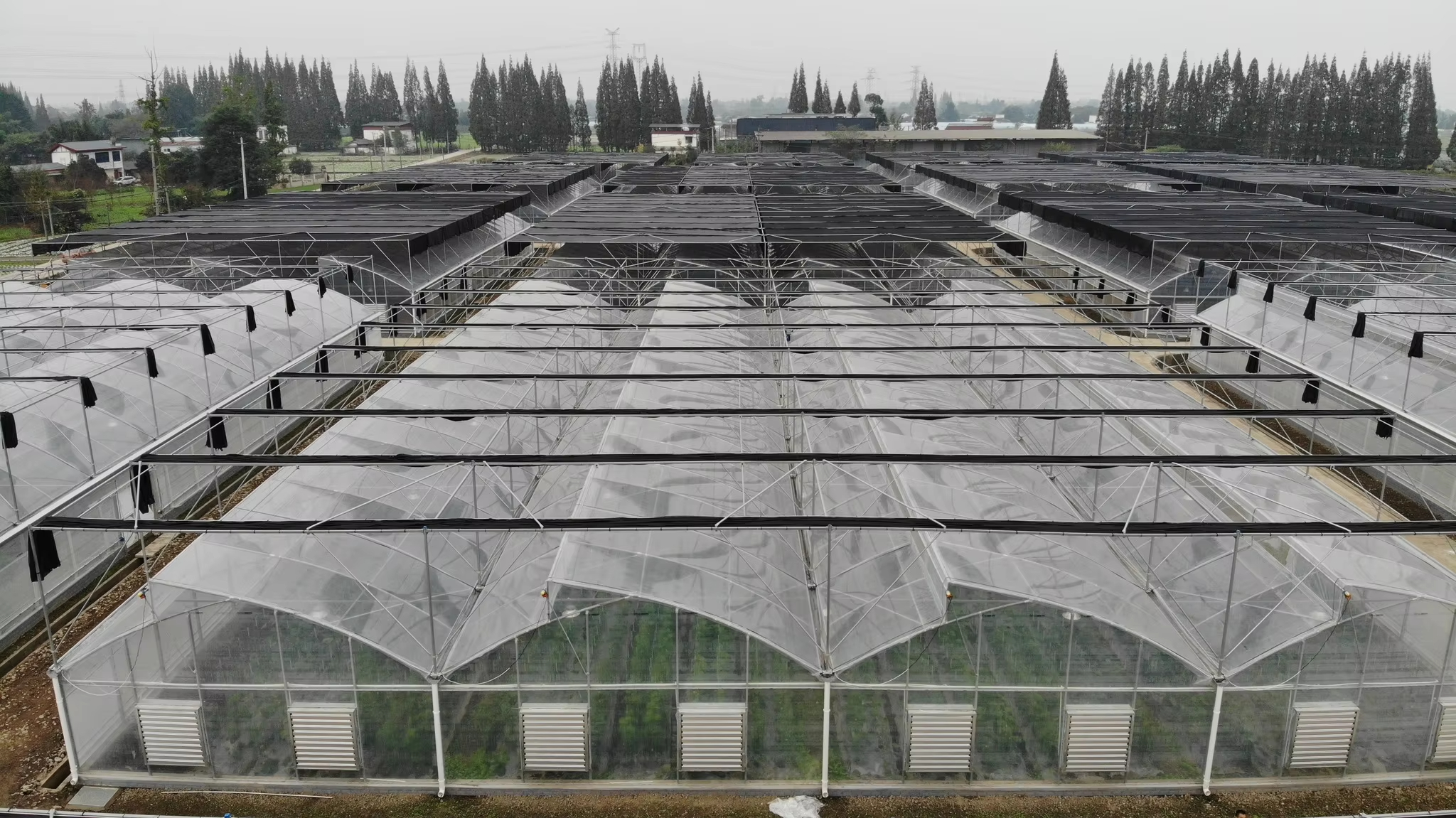 Sawtooth Multi-Span Greenhouse