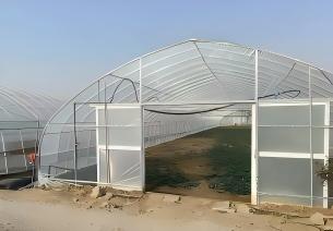Single Span Film Greenhouse