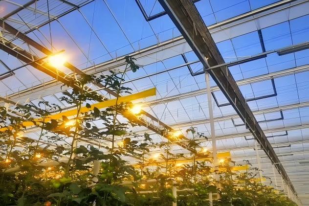 Galvanized Steel Greenhouse