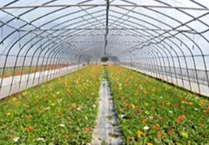Agricultural greenhouse