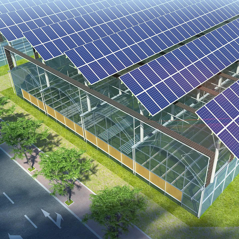 Commercial tunnel film greenhouse framework showing multi-span structural design