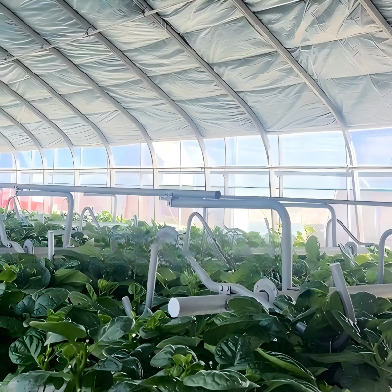 Plastic Greenhouse