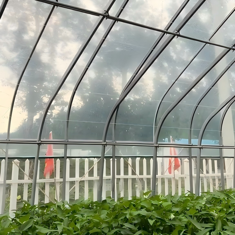 film greenhouse